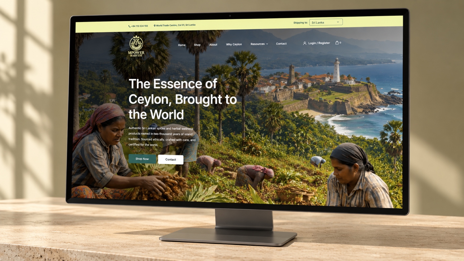 MPower Harvest — art-directed project mockup